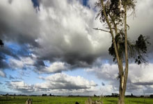 意媒：由于莫塔的未来不确定，尤文今夏可能不会买断穆阿尼.