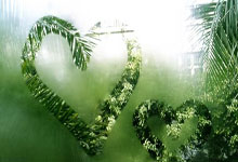 随意评论球员长相，美国网球频道解说员被“无限期停职”环球时报.